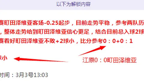 英甲保级关键战：英赛10胜7数据揭示真相之谜